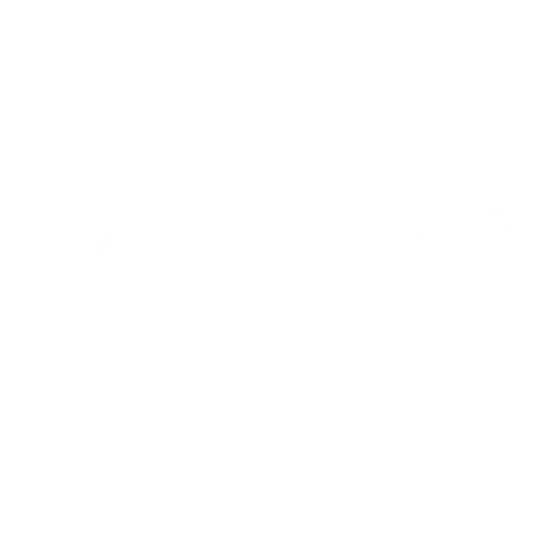 FUNZEL