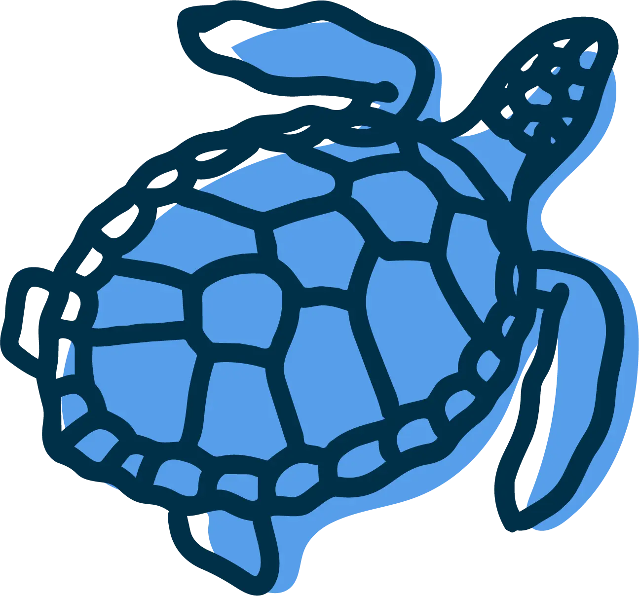 Tortugas